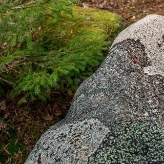 «Мы хотели, чтобы работы создавали ощущение, что кто-то выкопал поляну в лесу гигантской лопатой…