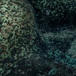 Они нарисовали эскизы, сделали фотографии и 3D-сканы различных скалистых лесов и прибрежных районов, чтобы создать дизайн…