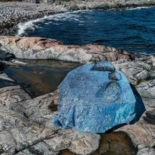 В коллекцию также войдут предметы, вдохновленные структурами, созданными животными, от одноклеточных организмов до…