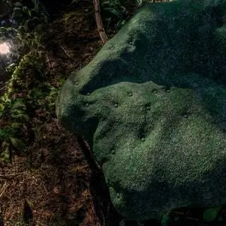 Вся коллекция будет представлена на крупной выставке в Милане в 2021 году