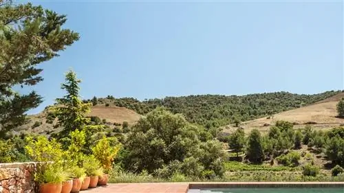 В чем разница между POOL и POOL?