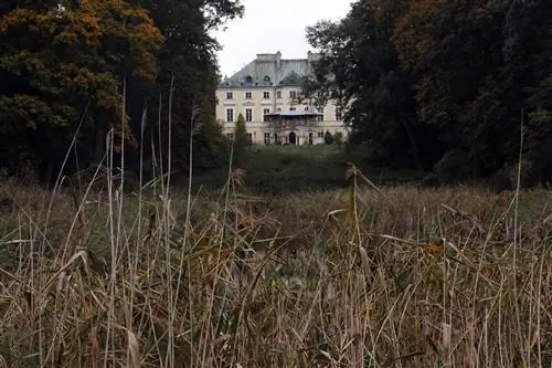 роща и дом на заднем плане