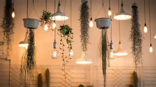 CFL или LED: все, что вам нужно знать, чтобы ВЫБРАТЬ ЛАМПЫ