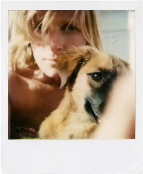 ТОЧНЫЕ МОМЕНТЫ, которые Линда Маккартни собрала в Polaroids ТОЧНЫЕ МОМЕНТЫ, которые Линда Маккартни собрала в Polaroids