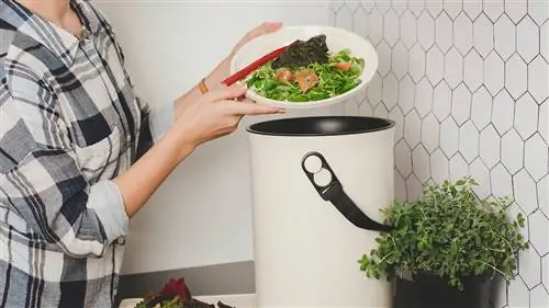 Мы нашли КОМПОЗИЦИОННУЮ БАНКУ, о которой вы захотите ПОСМОТРЕТЬ на кухне