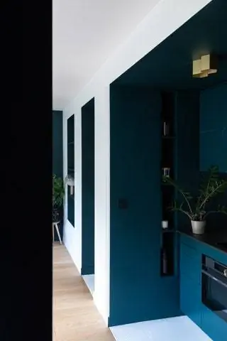 синяя кухня и прихожая с дверями