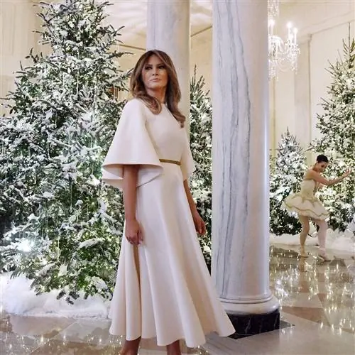 Новогоднее украшение Мелании Трамп
