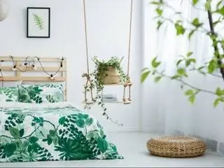 Растения для спальни Растения для спальни