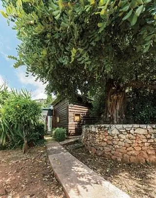 Рожковое дерево с кабаноном и дверью в соседний ресторан l'Etoile de Mer
