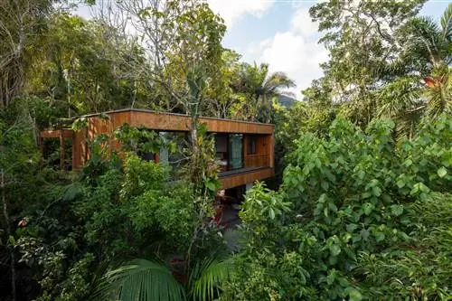 Жизнь посреди буйных ДЖУНГЛЕЙ в Сан-Паулу
