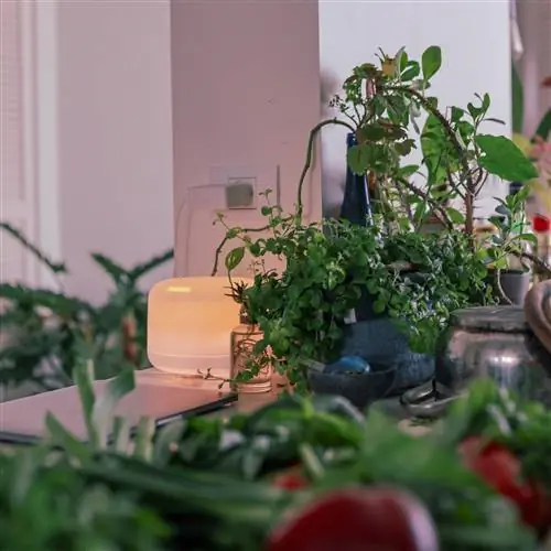 Семь КЛЮЧЕЙ, чтобы купить ОЧИСТИТЕЛЬ ВОЗДУХА