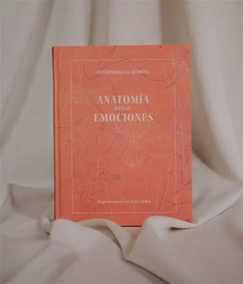 Алехандра Ремон представляет свою книгу и рассказывает нам об этом эксклюзивно Алехандра Ремон представляет свою книгу и рассказывает нам об этом эксклюзивно