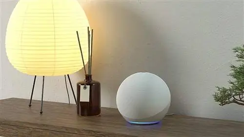Echo Dot vs Echo, какую умную колонку Amazon стоит купить в этот Киберпонедельник Echo Dot vs Echo, какую умную колонку Amazon стоит купить в этот Киберпонедельник