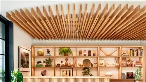 HOTEL MAGDALENA, винтажный дух и веселье в Остине