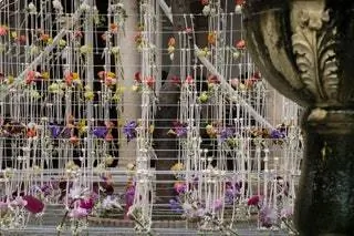 Установка статического поля PHKA на выставке Flora 2019