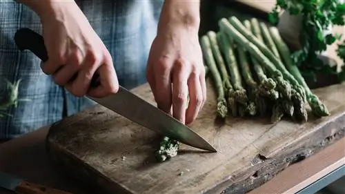 Лучшие профессиональные ножи, которые должны быть у каждого на кухне