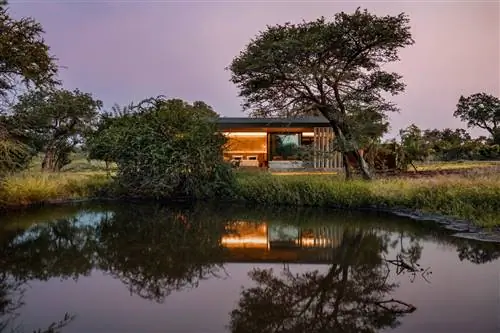 CHEETAH PLAINS LODGE заново изобретает эстетику САФАРИ