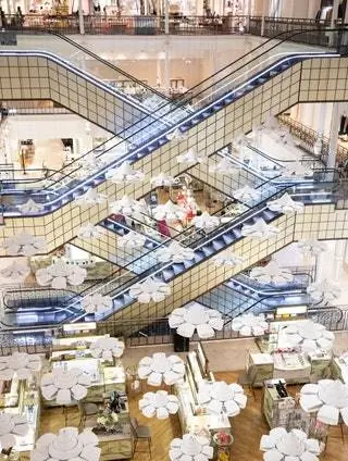 Огромные белые капли падают с потолка и постепенно превращаются в раскрытые коконы. В то же время это…