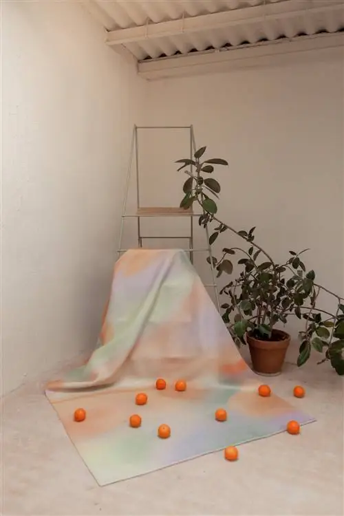 Экологичные коврики сезона имеют собственное название ALLCA Rugs