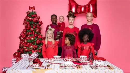Рождественская коллекция HEMA разработана VIKTOR&ROLF