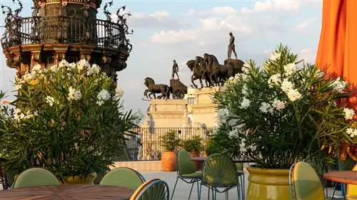 От Leña, самого красивого ресторана в мире, до Bibo: это рестораны Дани Гарсии