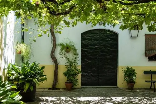 Винодельни Domecq в Хересе