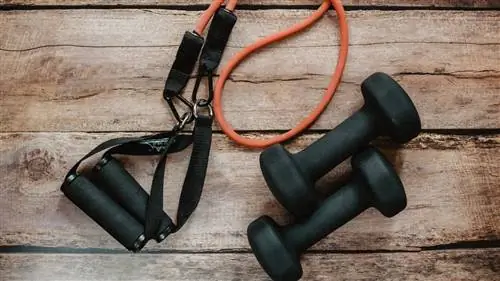 Как устроить дома спортзал (и сделать его дизайнерским, конечно)