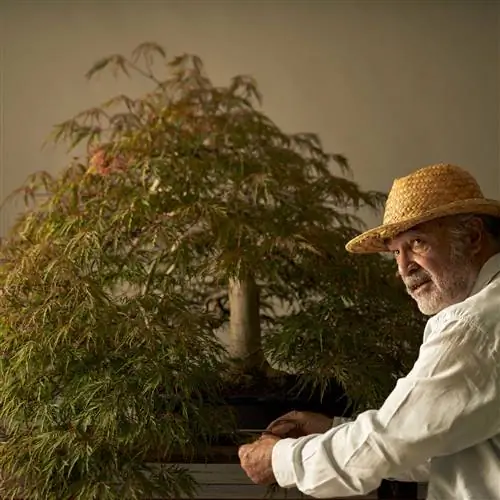 Луи Вальехо