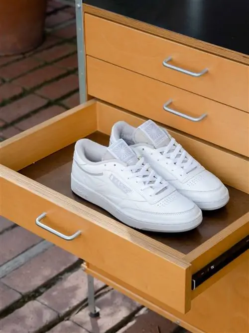Reebok x Eames обувает наследие культового брака на ваших ногах