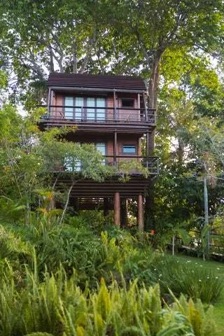 Mirante do Gavião означает соколиную обсерваторию, так как эти животные свободно бродят по берегам Негритянской реки… Mirante do Gavião означает соколиную обсерваторию, так как эти животные свободно бродят по берегам Негритянской реки…