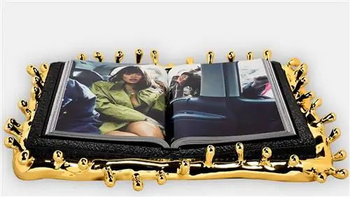 ВИЗУАЛЬНАЯ автобиография РИАННЫ, настольная книга на данный момент