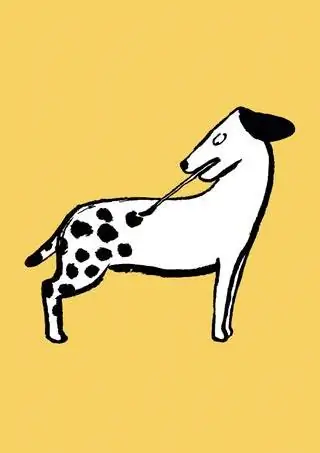 Персональная работа Dogs Own Spots 2017