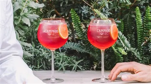CAMPARI & Тоник, напиток со вкусом ЛЕТА (и 10 идеальных ПРОСТРАНСТВ, чтобы его выпить)