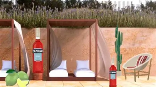 20 победивших КАВЕРОВ конкурса AD CAMPARI