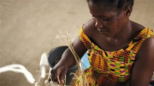УСТОЙЧИВЫЙ ЖИЗНЬ: Экология - не маркетинговый инструмент