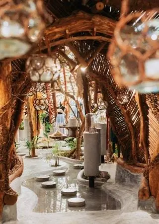 Best Innovative Dining Concept - это награда, которую получил ресторан Jungle Cuisine, в котором каждый ингредиент…
