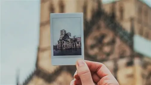 ФОТОКАМЕРЫ, чтобы заново открыть для себя мгновенную ФОТОГРАФИЮ