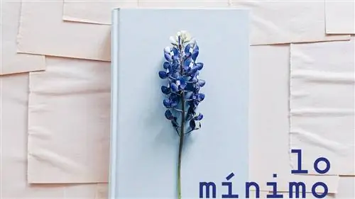 ЭТО МИНИМУМ, который вы должны ПРОЧИТАТЬ об ОТВЕТСТВЕННОМ ПОТРЕБЛЕНИИ