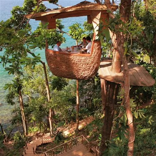 РЕСТОРАН в джунглях ТАИЛАНДА, который висит на вершине ДЕРЕВА