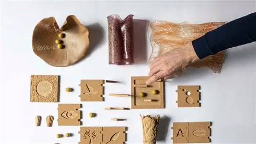 ПЛАСТИКОВАЯ КОСТЬ OLIVE, сделанная в Испании, которая изменит мир