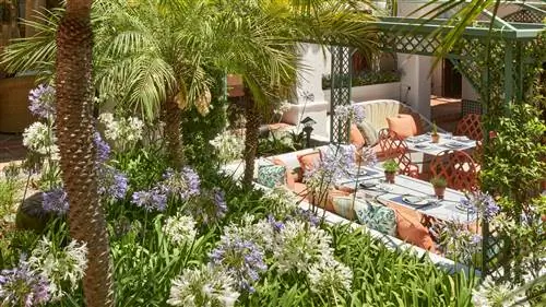 Это новый ресторан отеля Marbella Club, идеальное сочетание ремесел и растительности