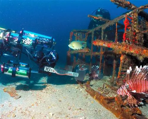 Лаборатория «Художественная практика» в Матозиньюше