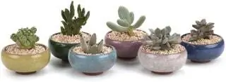Керамическая ледяная трещина серии Zisha Ceramics Plant Pot Succulent Cactus