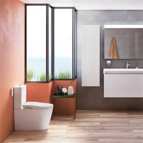 Модель Roca InWash