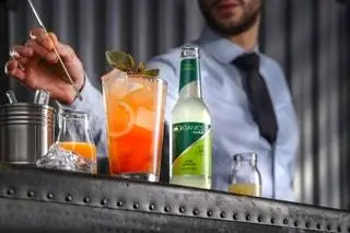 Bitter Lemon цитрусовый и немного горьковатый