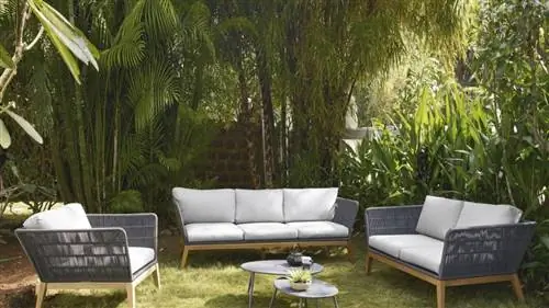 Как использовать «Метод Мияваки» для создания МИНИ-ЛЕСА дома