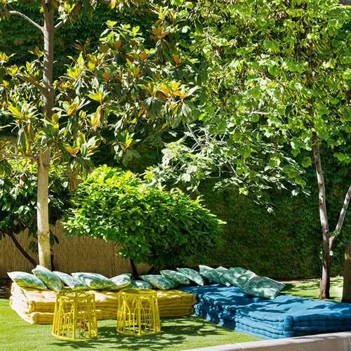 коронный дом