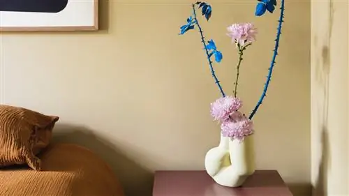 Заблуждения, которые нужно забыть о комнатных растениях