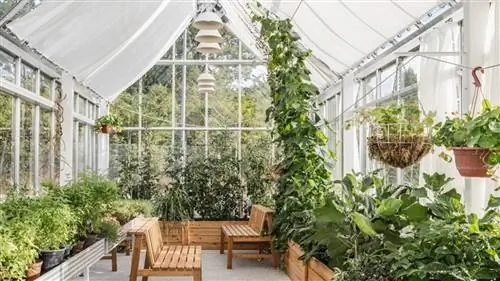 Ресторан NOMA в Копенгагене открылся в НОВОМ ФОРМАТЕ
