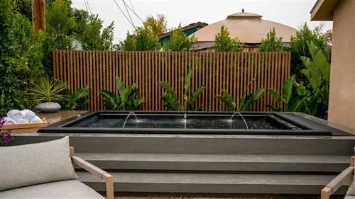 Испанский неолит, новый гость (и союзник) SCOTT BROTHERS